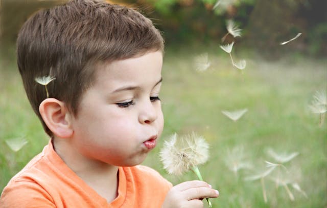 child dandelion wishes