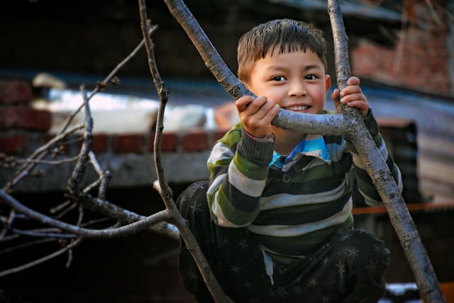 children climbing trees