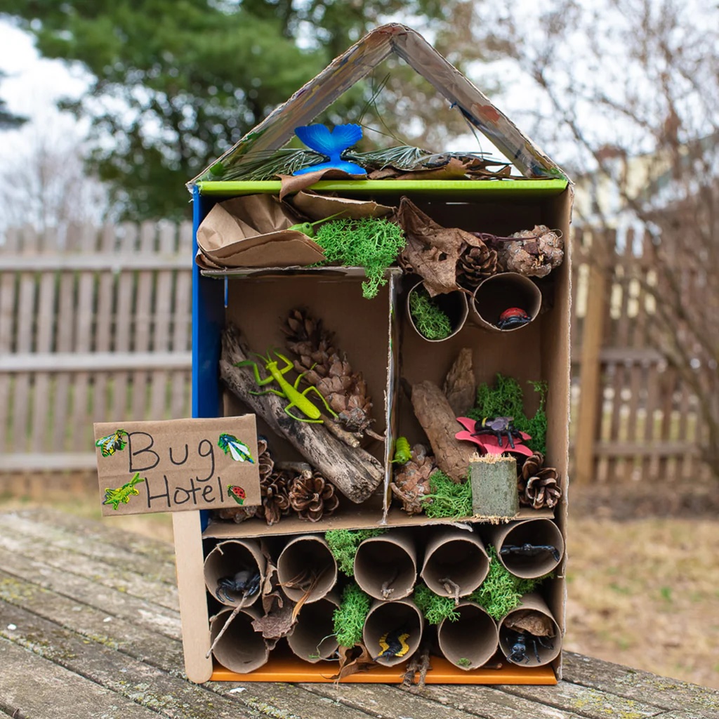 bug hotel activity