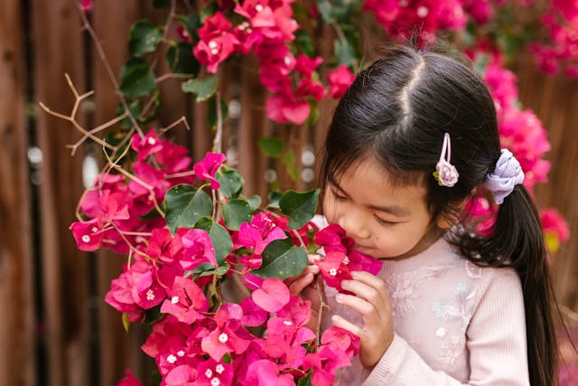 flower identification activity for children