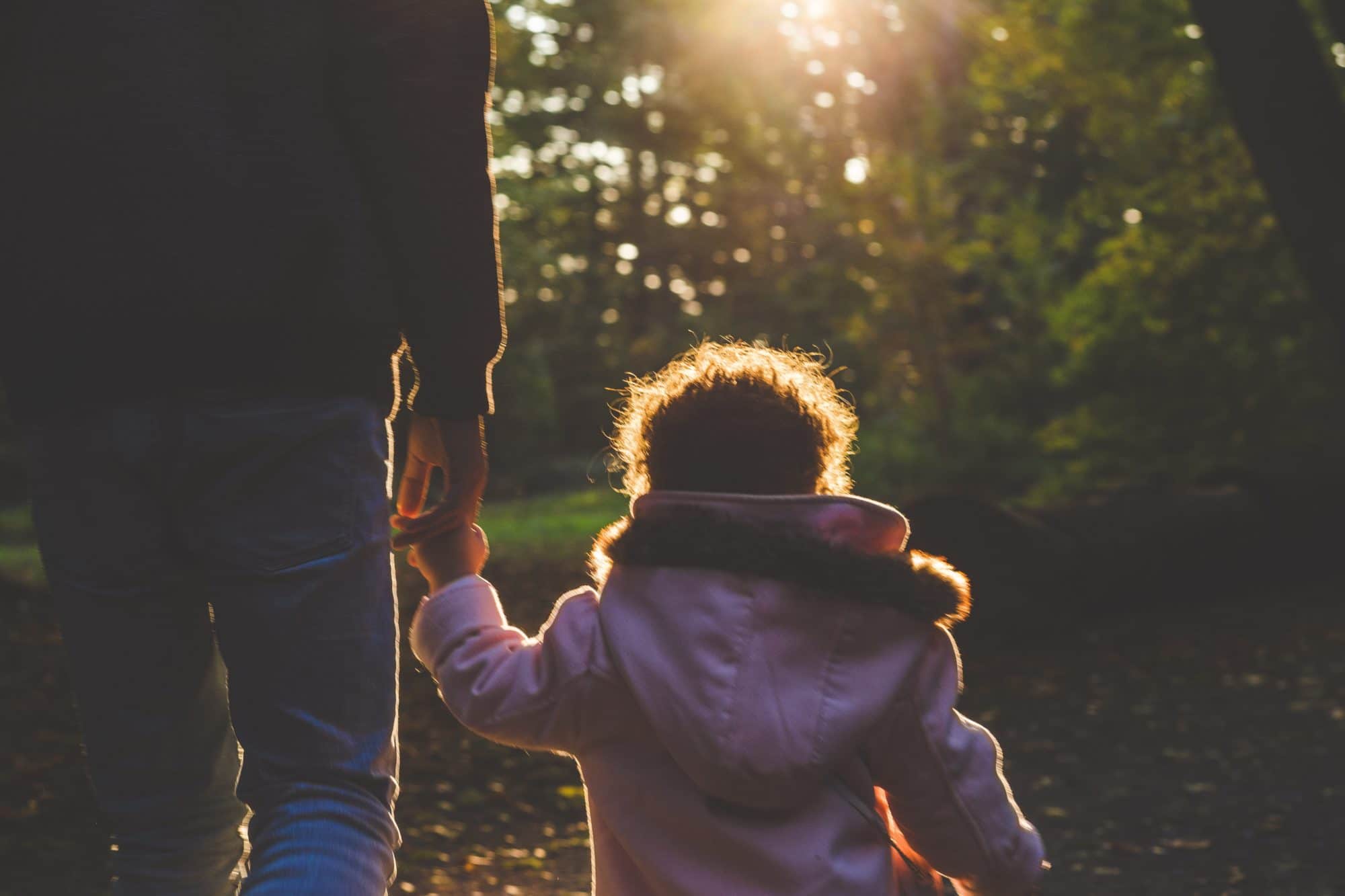 forest bathing for children