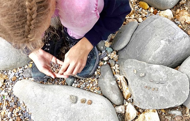 fossil hunting with children