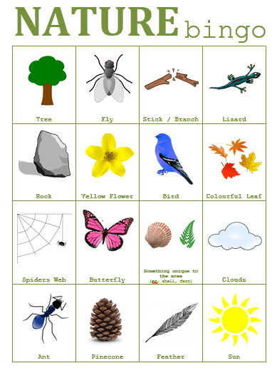 nature bingo for children