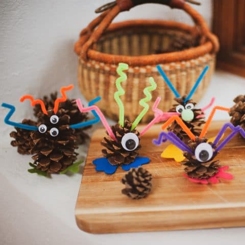 pinecone craft for kids